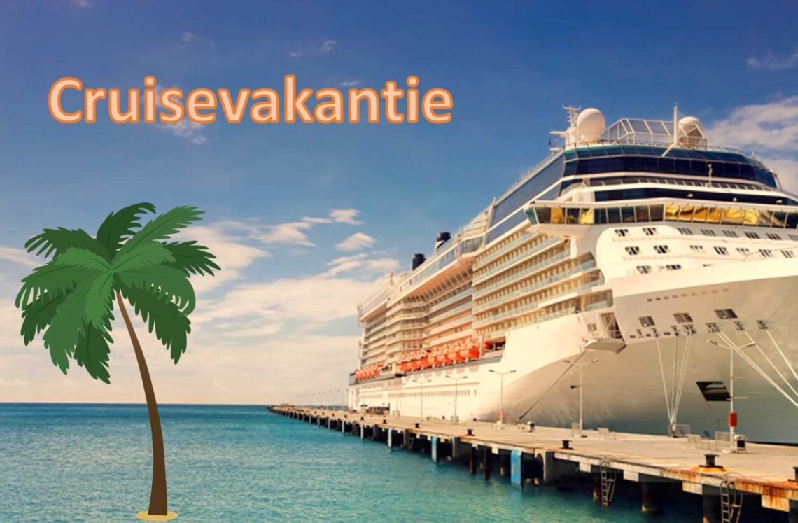 Leg jouw cruisevakantie vast met een camera en geheugenkaart en USB stick.